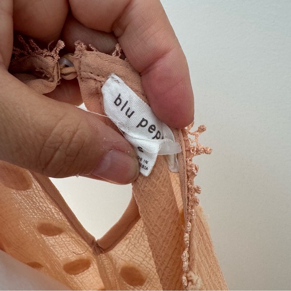 Blu Pepper Anthropologie chiffon crochet flowy boho top salmon neutral sheer - Picture 7 of 7